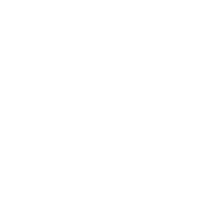 june bug pictures white logo